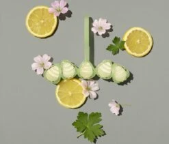 Marcel's Green Soap Toiletblok Geranium & Citroen - 55 Gram 2 Marcel's Green Soap Toiletblok Geranium & Citroen - 55 Gram -Huishoudelijke Artikelen Winkel 1200x1023