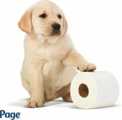 Page Toiletpapier - Eco - Duurzaam - 24 Rollen - Voordeelverpakking -Huishoudelijke Artikelen Winkel 1200x1186 8