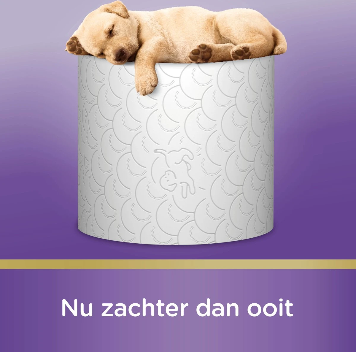 Page toiletpapier - Kussenzacht wc papier - voordeelverpakking - 24 rollen Page Toiletpapier - Kussenzacht Wc Papier - Voordeelverpakking - 24 Rollen -Huishoudelijke Artikelen Winkel 1200x1186 9