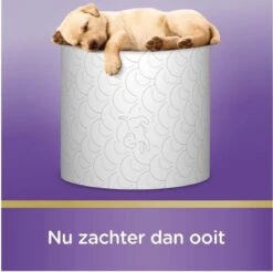 Scottex Toiletpapier - Kussenzacht Design Wc Papier - 84 Rollen 3 Scottex Toiletpapier - Kussenzacht Design Wc Papier - 84 Rollen -Huishoudelijke Artikelen Winkel 1200x1197 37