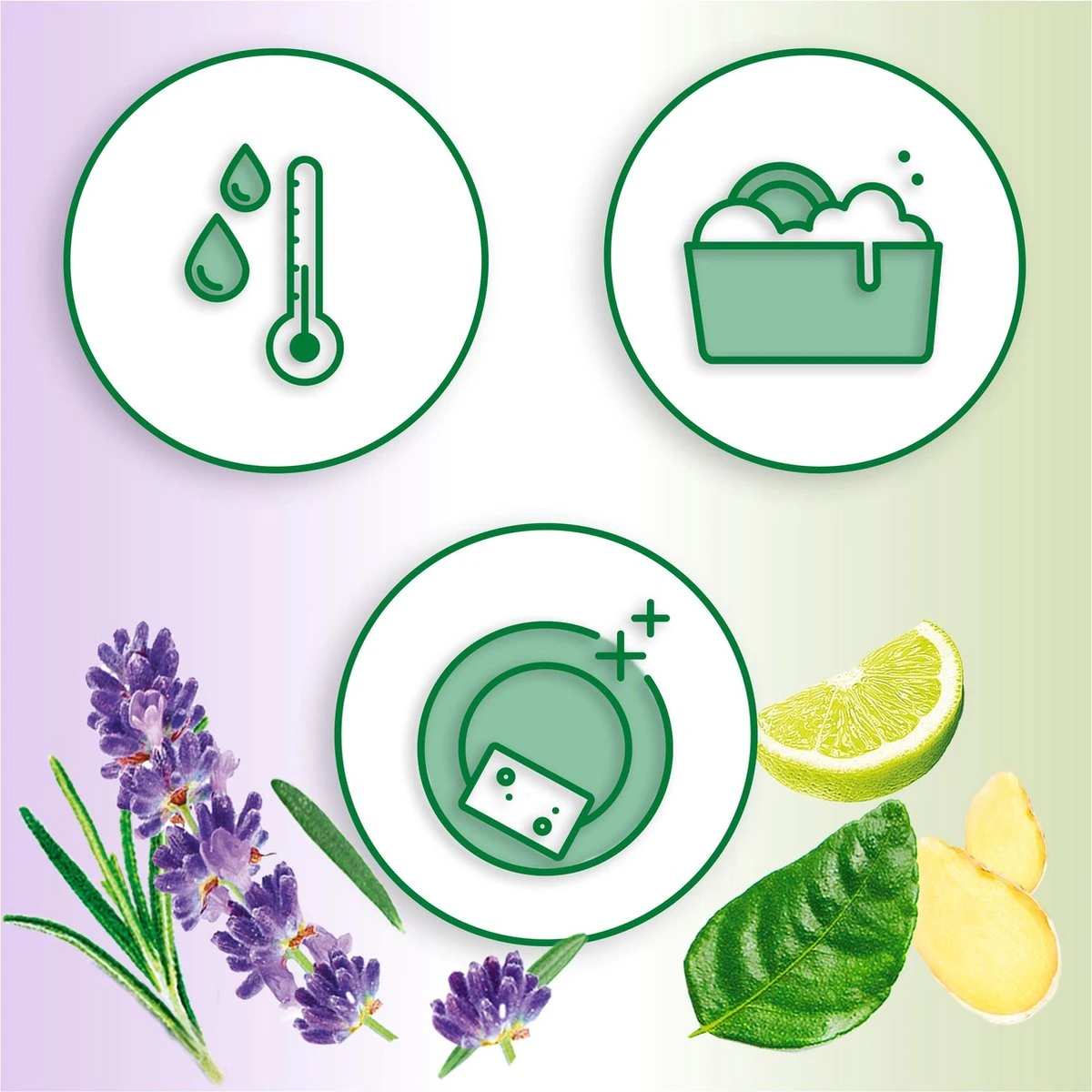 Dreft Naturals Lavender & Rosemary Afwasmiddel - Voordeelverpakking 10x450ml Dreft Naturals Lavender & Rosemary Afwasmiddel - Voordeelverpakking 10x450ml -Huishoudelijke Artikelen Winkel 1200x1200 1161