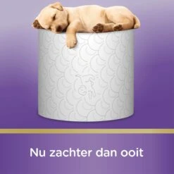 Page Toiletpapier - 32 Rollen - Kussenzacht Wc Papier (3-laags) - Voordeelverpakking 3 Page Toiletpapier - 32 Rollen - Kussenzacht Wc Papier (3-laags) - Voordeelverpakking -Huishoudelijke Artikelen Winkel 1200x1200 1828