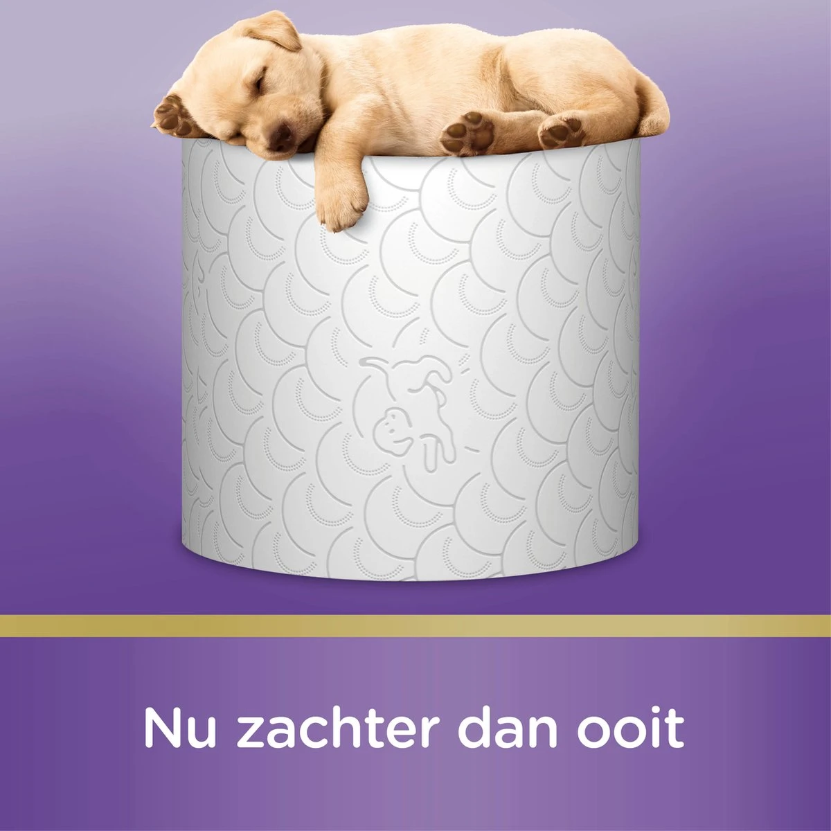 Page toiletpapier - 36 rollen - Kussenzacht wc papier (3-laags) - voordeelverpakking Page Toiletpapier - 36 Rollen - Kussenzacht Wc Papier (3-laags) - Voordeelverpakking -Huishoudelijke Artikelen Winkel 1200x1200 1842