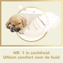 Page Puur Toiletpapier - 24 Rollen - Extra Duurzaam Wc Papier - Voordeelverpakking 2 Page Puur Toiletpapier - 24 Rollen - Extra Duurzaam Wc Papier - Voordeelverpakking -Huishoudelijke Artikelen Winkel 1200x1200 1845