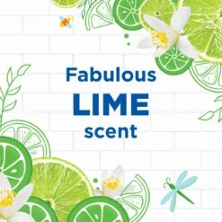 WC Eend Fresh Discs Navul Duo Lime 72 Ml -Huishoudelijke Artikelen Winkel 1200x1200 2161