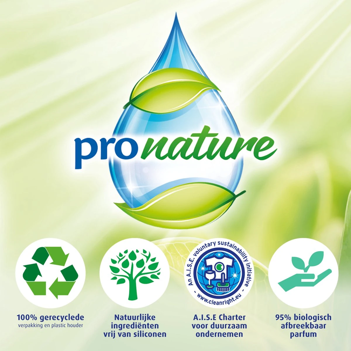 Witte Reus Pro Nature Munt Eucalyptus - 10 stuks Witte Reus Pro Nature Munt Eucalyptus - 10 Stuks -Huishoudelijke Artikelen Winkel 1200x1200 2198