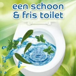 Witte Reus Pro Nature Munt Eucalyptus - 10 Stuks 4 Witte Reus Pro Nature Munt Eucalyptus - 10 Stuks -Huishoudelijke Artikelen Winkel 1200x1200 2199