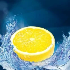 Witte Reus Kracht Actief Toiletblok - Citrus - WC Blokjes Voordeelverpakking - 10 Stuks 16 Witte Reus Kracht Actief Toiletblok - Citrus - WC Blokjes Voordeelverpakking - 10 Stuks -Huishoudelijke Artikelen Winkel 1200x1200 2211