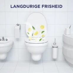 Glorix Power 5 Toiletblokken - Citroen - 7 X 2 Stuks - Voordeelverpakking 13 Glorix Power 5 Toiletblokken - Citroen - 7 X 2 Stuks - Voordeelverpakking -Huishoudelijke Artikelen Winkel 1200x1200 2220