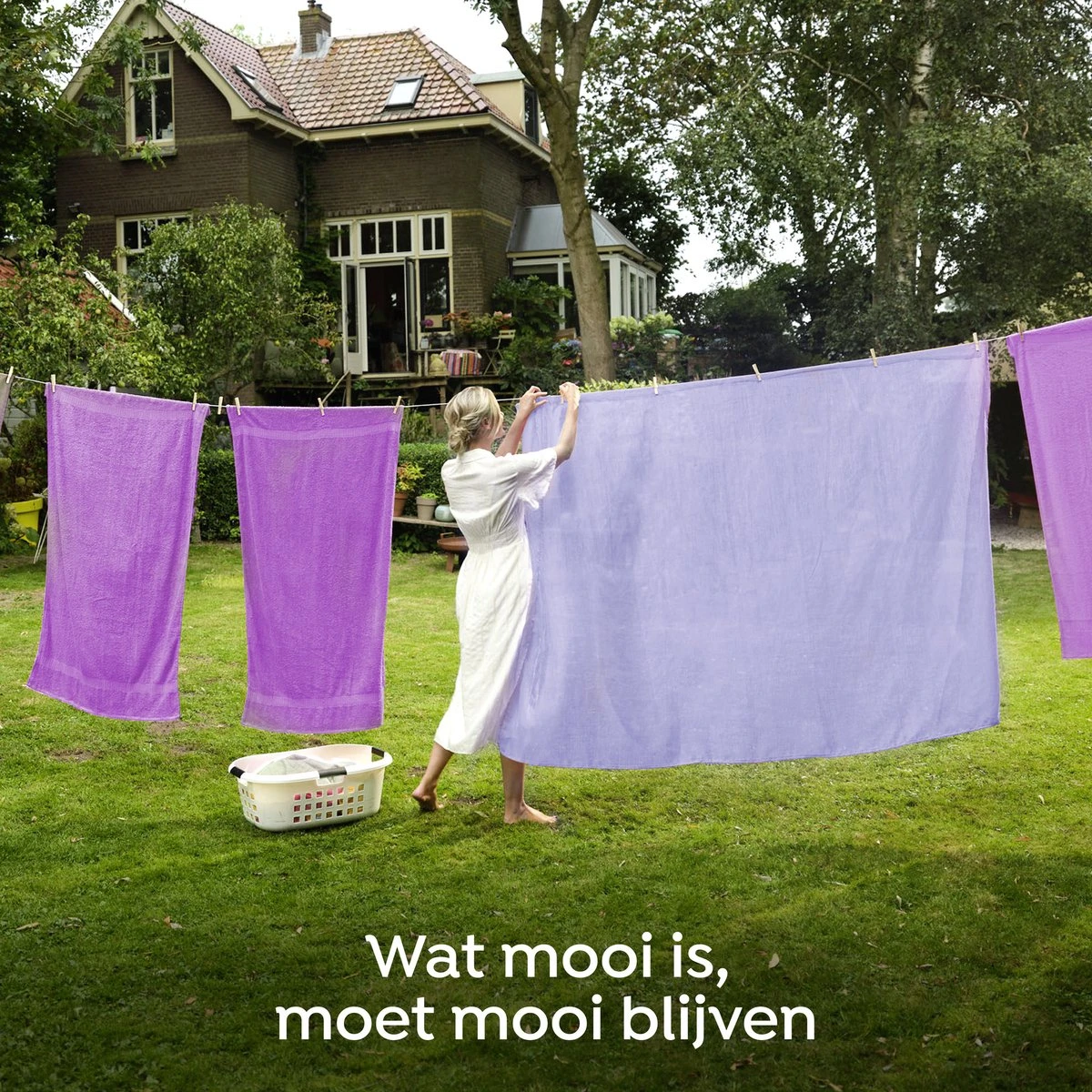 Robijn Creations Paarse Orchidee & Bosbessen Wasverzachter - 8 x 30 wasbeurten - Voordeelverpakking Robijn Creations Paarse Orchidee & Bosbessen Wasverzachter - 8 X 30 Wasbeurten - Voordeelverpakking -Huishoudelijke Artikelen Winkel 1200x1200 440