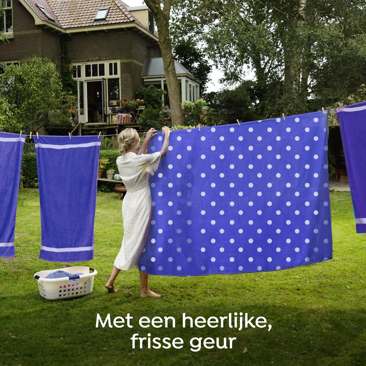 Robijn Specials Stip en Streep Wasverzachter - 8 x 30 wasbeurten - Voordeelverpakking Robijn Specials Stip En Streep Wasverzachter - 8 X 30 Wasbeurten - Voordeelverpakking -Huishoudelijke Artikelen Winkel 1200x1200 477