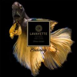 Lavayette Premium Wasparfum 2in1 - Double Fun & Jasmine Shades - Geurbooster 6 Lavayette Premium Wasparfum 2in1 - Double Fun & Jasmine Shades - Geurbooster -Huishoudelijke Artikelen Winkel 1200x1200 590