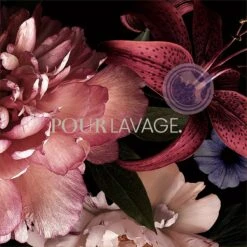 Lavayette Premium Wasparfum - Jasmin Shades - Geurbooster 500ml (Diamante) -Huishoudelijke Artikelen Winkel 1200x1200 615