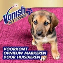 Vanish Pet Expert Schuim 600ml -Huishoudelijke Artikelen Winkel 1200x1200 646