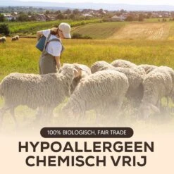 Drogerballen - Droogballen - Wasdrogerballen - Dryerballs - 6 Stuks - XL Formaat - Wol - Set 4 Drogerballen - Droogballen - Wasdrogerballen - Dryerballs - 6 Stuks - XL Formaat - Wol - Set -Huishoudelijke Artikelen Winkel 1200x1200 787