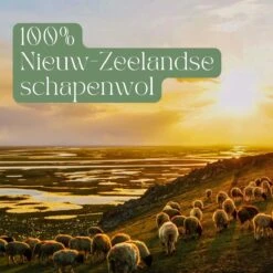 Miki's Goods® XL Wollen Drogerballen 6 Stuks - Panda Wasballen - Duurzaam - Wasbol - 100% Nieuw-Zeelandse Schapenwol - Wasbollen - Herbruikbaar- Droogballen - Snellere Droogtijd - Zuigt Dierenharen Op -Huishoudelijke Artikelen Winkel 1200x1200 803