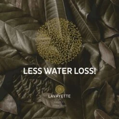 Lavayette XL Drogerballen Met 25ml Wasparfum - WasdrogerBallen – Droogballen – Wasbol – 100% Nieuw-Zeelands Schapenwol – Milieu- En Diervriendelijk – 6 Stuks -Huishoudelijke Artikelen Winkel 1200x1200 848