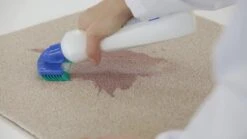 Dr. Beckmann Tapijtvlekkenborstel - Tapijtreiniging - Tapijt Vlekverwijderaar Met Borstel - Schoon Tapijt - Dierenvlekkenverwijderaar 3 Dr. Beckmann Tapijtvlekkenborstel - Tapijtreiniging - Tapijt Vlekverwijderaar Met Borstel - Schoon Tapijt - Dierenvlekkenverwijderaar -Huishoudelijke Artikelen Winkel 1200x674 1