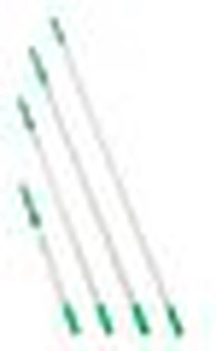 OptiLoc 2-delig 250m OptiLoc 2-delig 250m -Huishoudelijke Artikelen Winkel