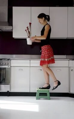 PUHLMANN - Inklapbare Kruk, JAMES, Plastic, Groen, 22 Cm Hoog, Max 100kilo -Huishoudelijke Artikelen Winkel 746x1200 2